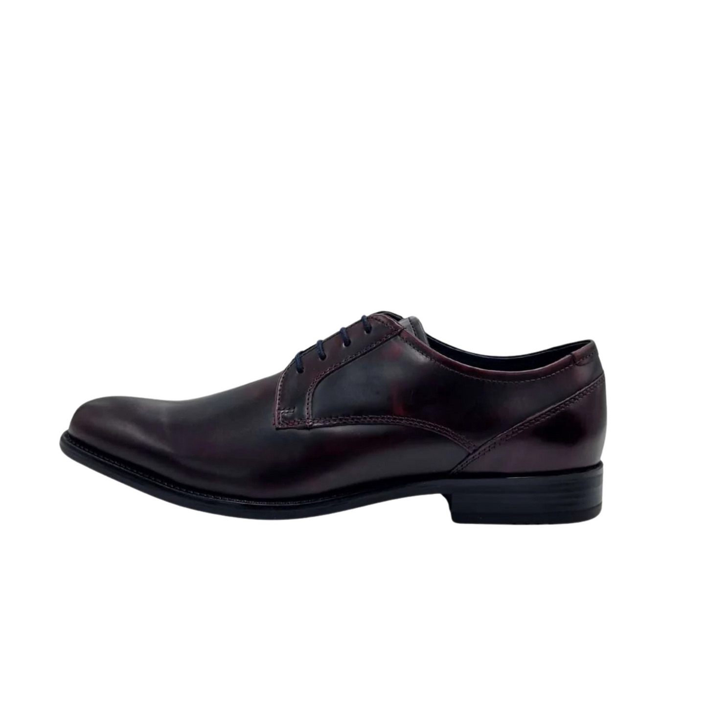 Dubarry Dasher