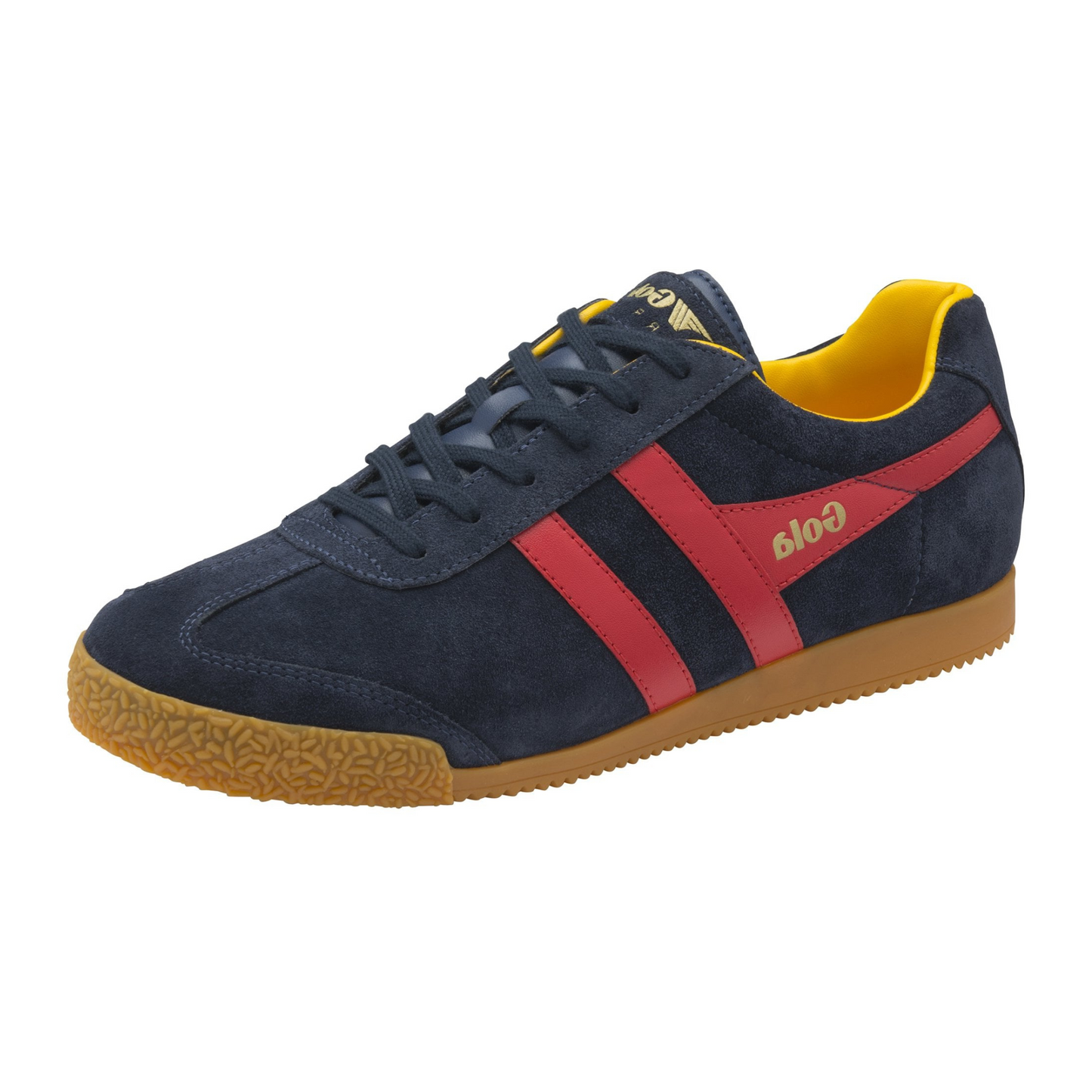 Gola Harrier