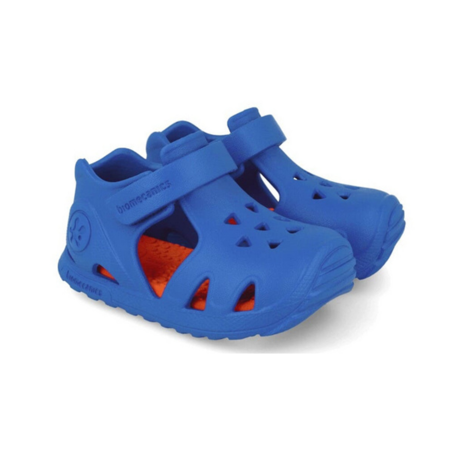 Biomecanics 252290B