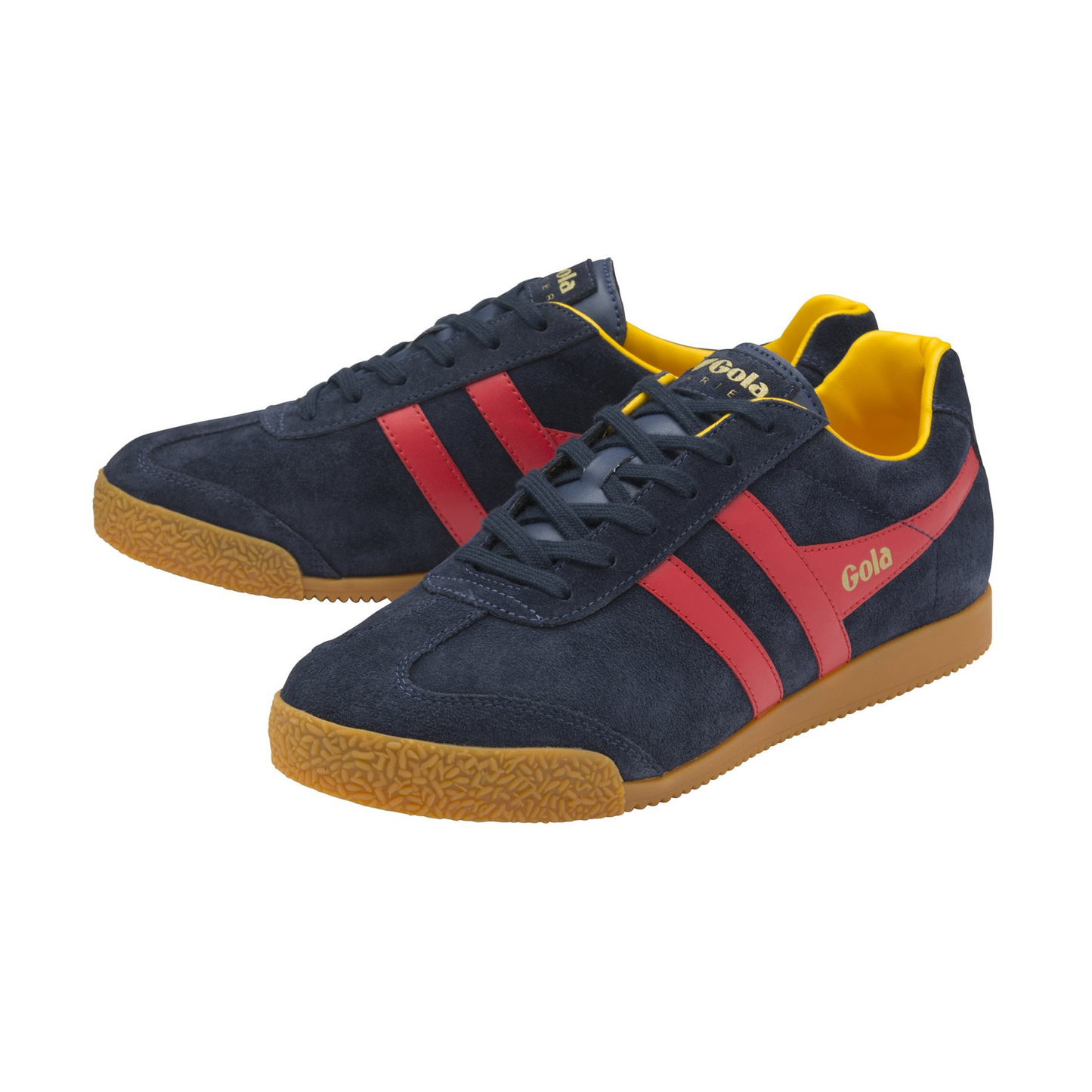 Gola Harrier