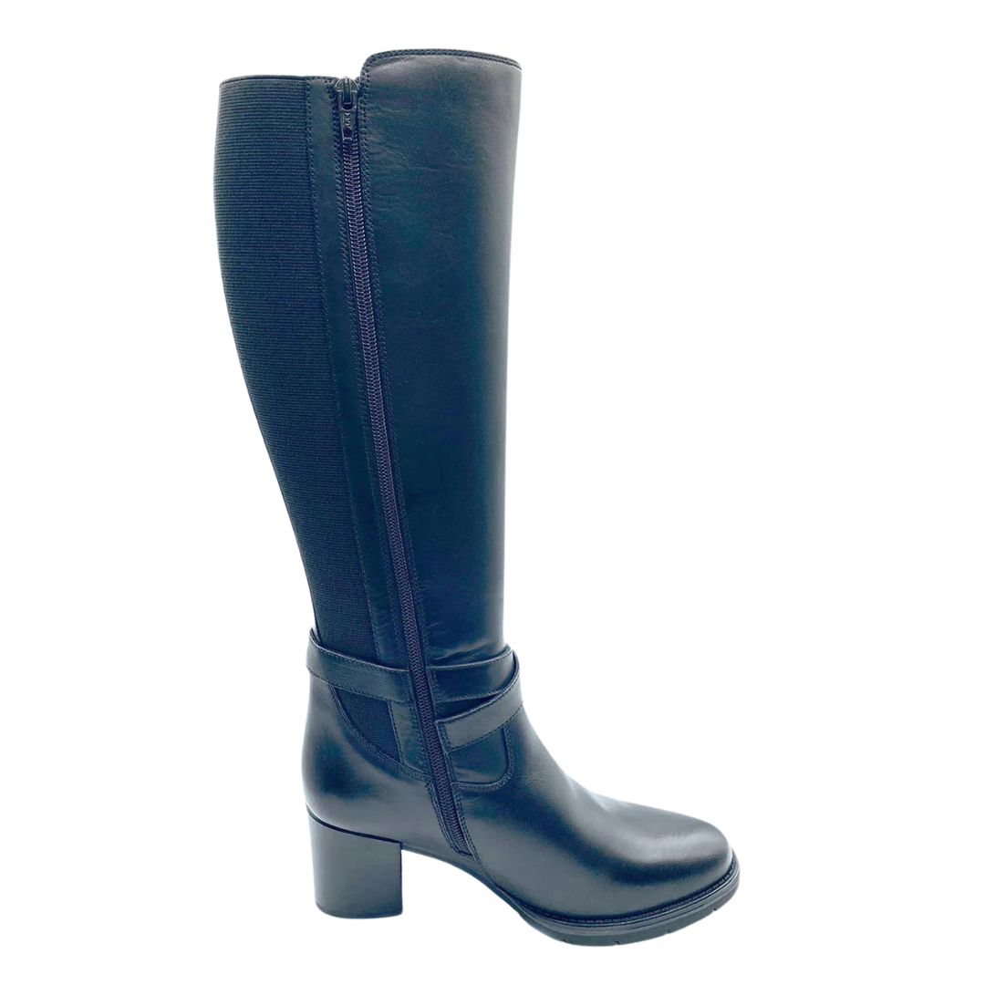 Dubarry Canker