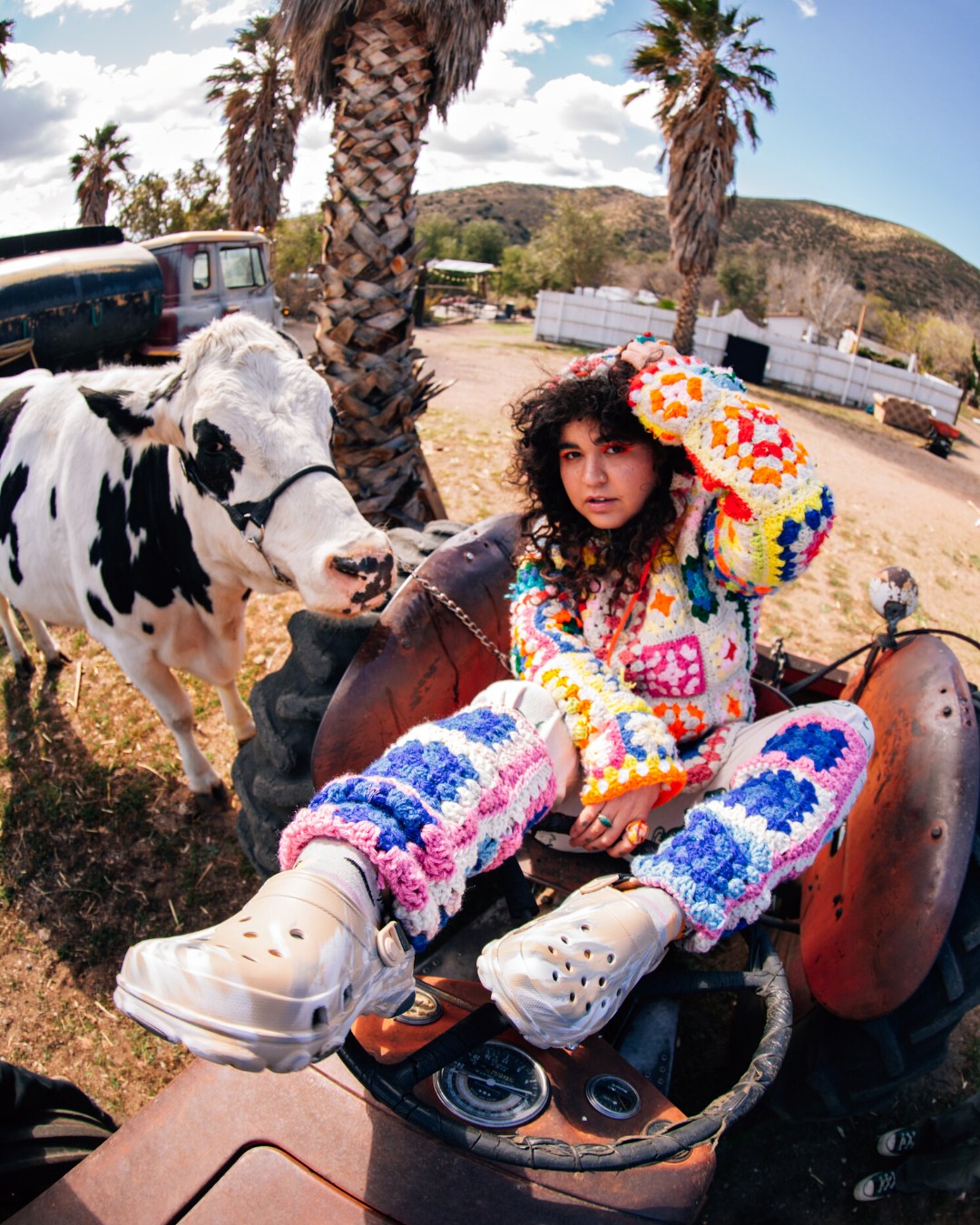 Crocs and Cow