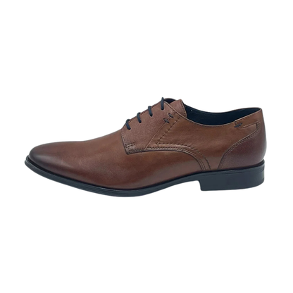Dubarry Drago