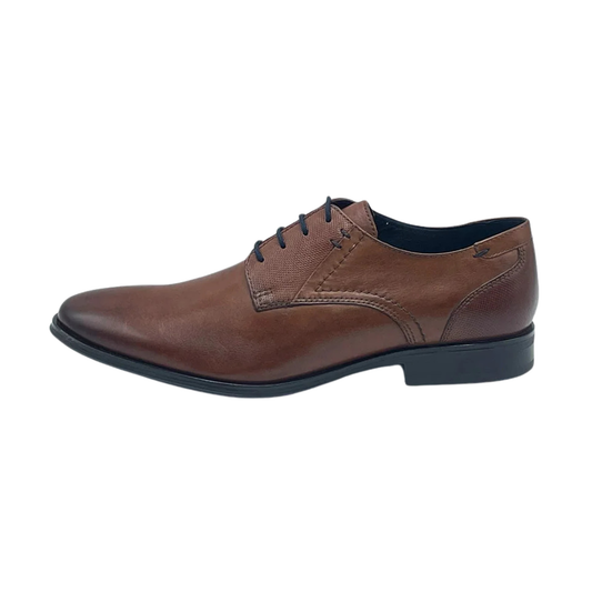 Dubarry Drago