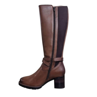 Dubarry Canker