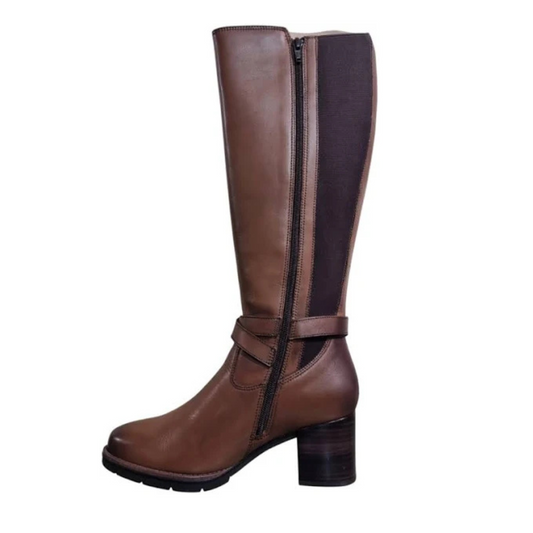 Dubarry Canker