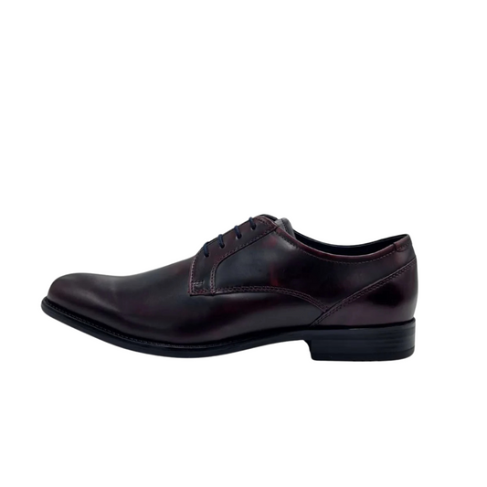 Dubarry Dasher