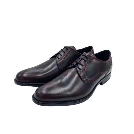 Dubarry Dasher