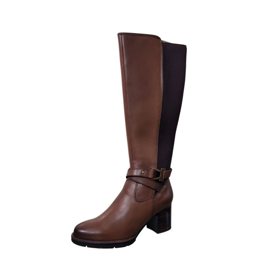 Dubarry Canker
