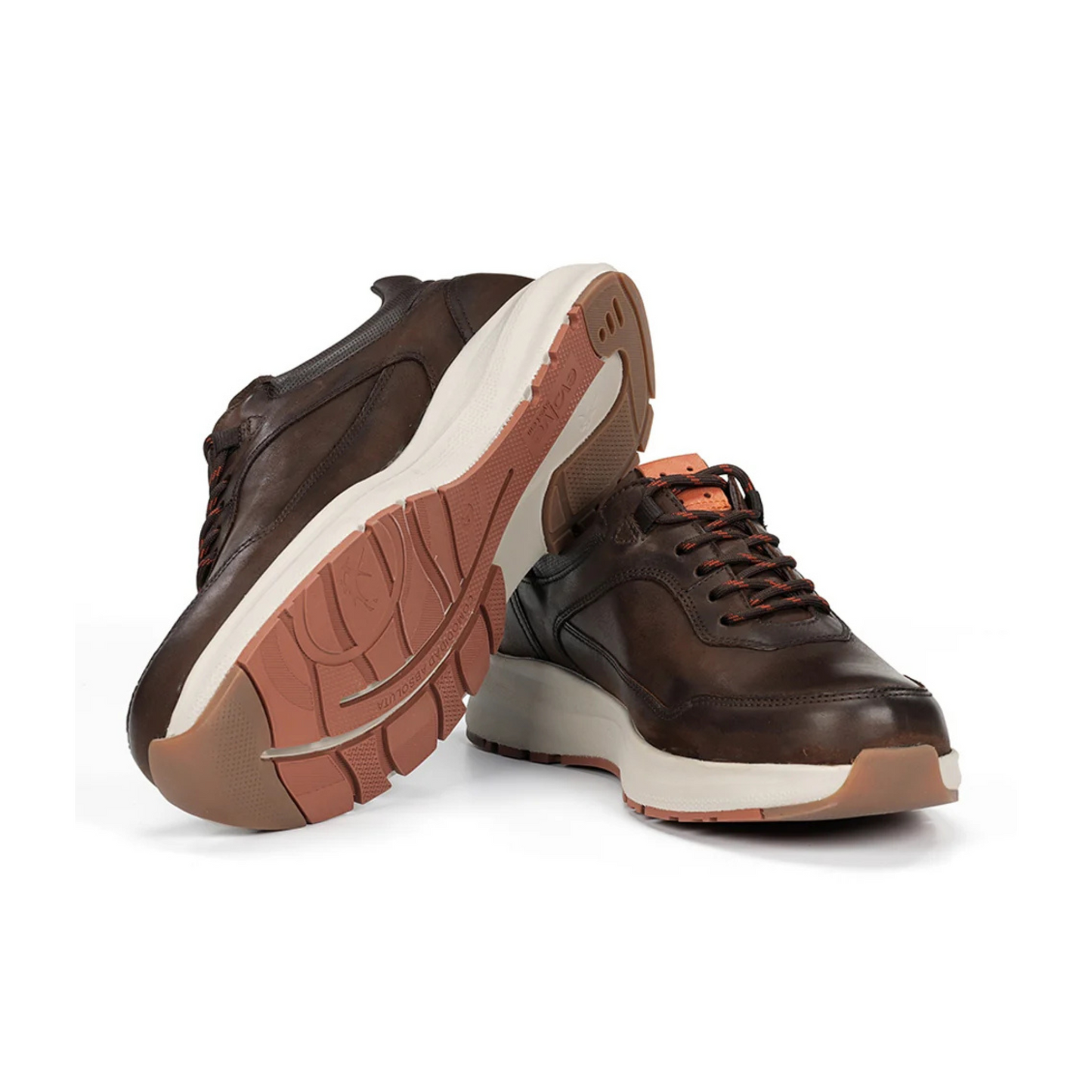Fluchos Triton F2069