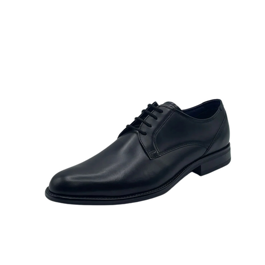 Dubarry Dasher