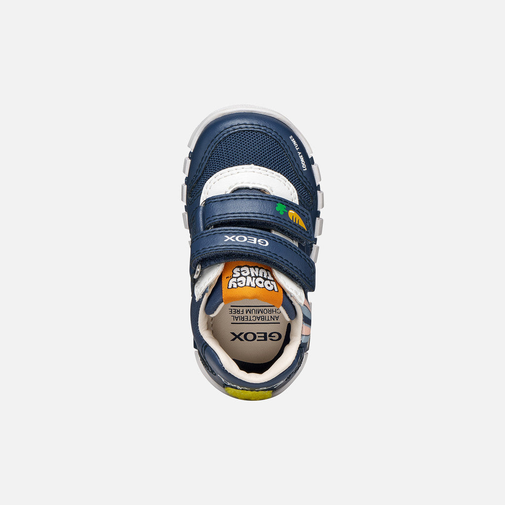 Geox Bugs Bunny Lupidoo Navy Shoes B6555B