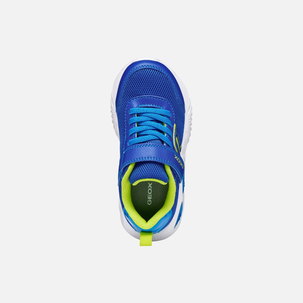 Geox Lights Trainer Assister Blue Lime J45DZC