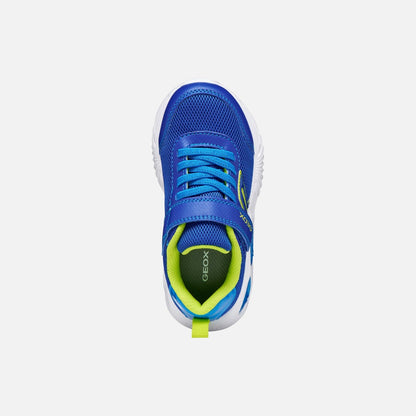 Geox Lights Trainer Assister Blue Lime J45DZC