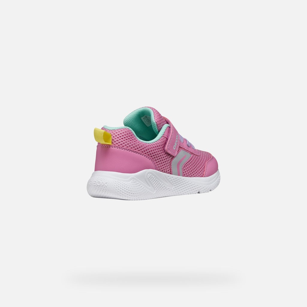 Geox Trainer Sprintye Mint Green Pink J36FWB